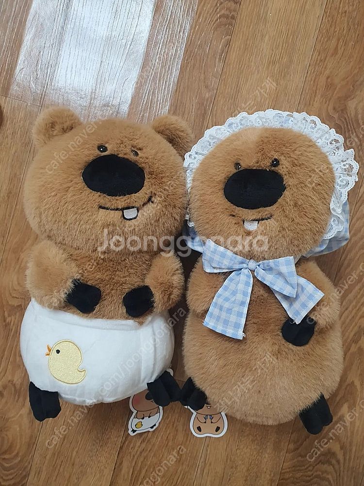 베이비코커짱 우쭐/모자 27cm--0