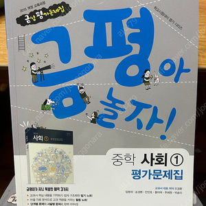 금성 중학 사회 1 평가문제집