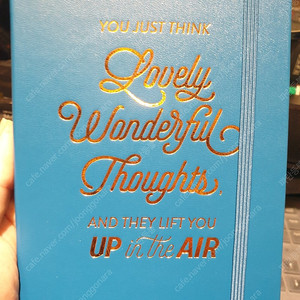 다이어리 수첩 Moleskine Limited Edition, Peter Pan 피터팬