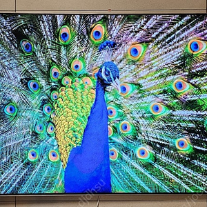 삼성 NEO Qled 4K 65인치 벽걸이 tv(22년 하반기 4백만원 구매)