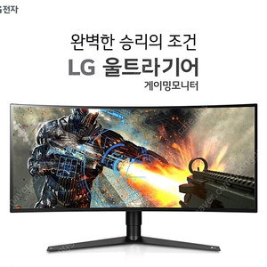 LG전자 34GK950F 34인치 울트라기어 나노IPS 144Hz 프리싱크 게이밍모니터  커브드