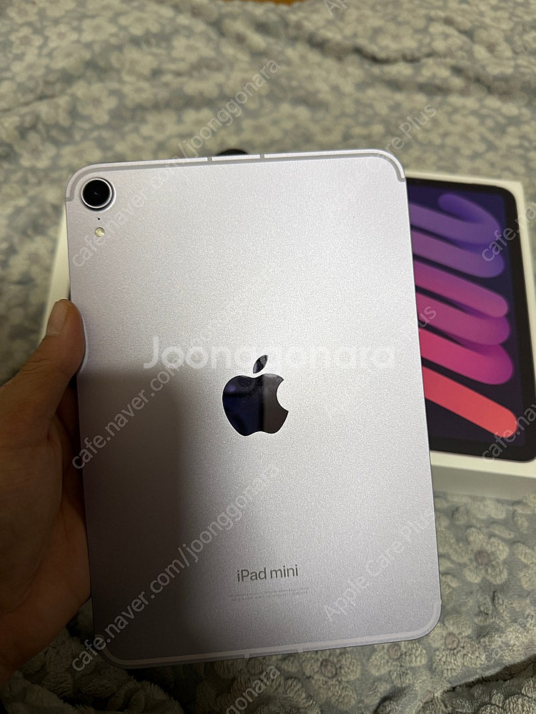 아이패드 미니7 wifi + 셀룰러 256GB 자급제단...--3