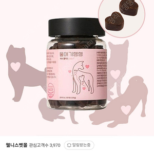 디어랩스 울애기쌩쌩 이너플러스 강아지 기관지 협착 심장 신장 영양제 120g