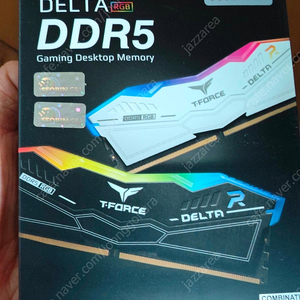 TeamGroup T-Force DDR5-6000 CL38 DELTA RGB 화이트 서린 32GB (16Gx2)