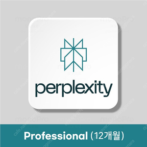 Perplexity AI Pro (퍼플렉시티) 1년 구독권