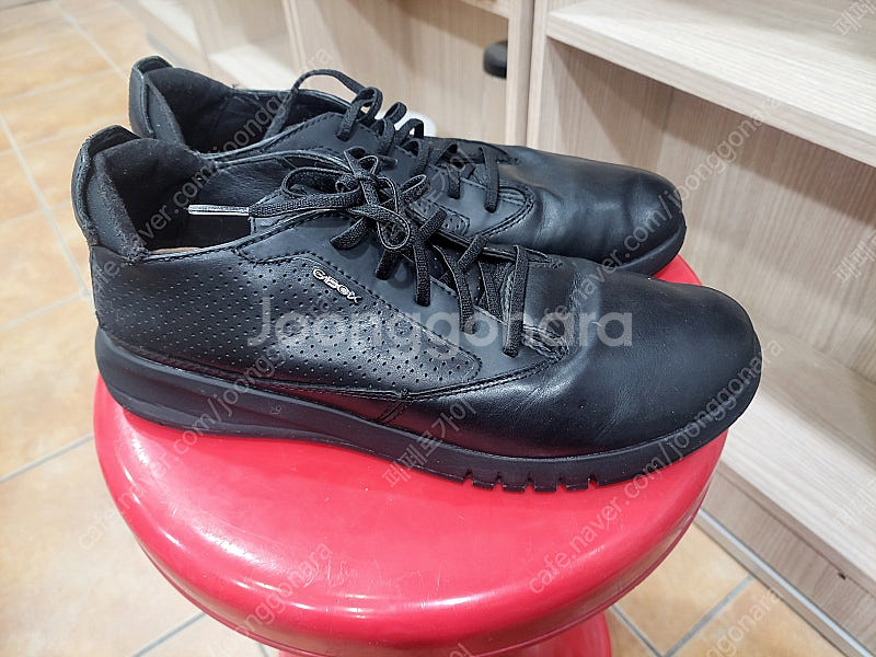 제옥스 캐쥬얼화 260미리--0