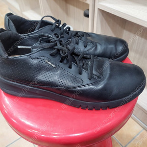 제옥스 캐쥬얼화 260미리