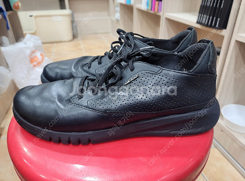 제옥스 캐쥬얼화 260미리--1