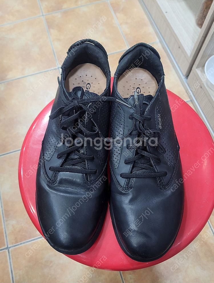 제옥스 캐쥬얼화 260미리--2