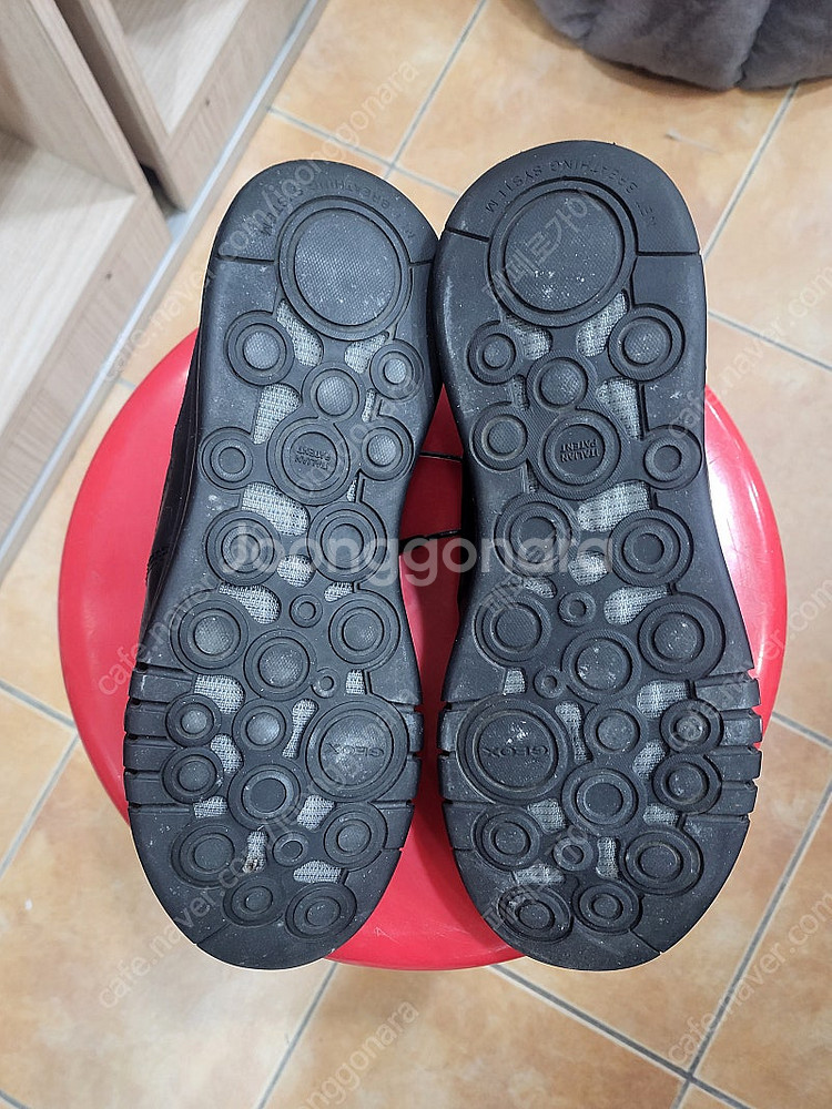 제옥스 캐쥬얼화 260미리--5