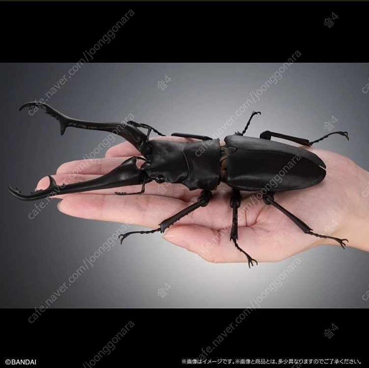 생물대도감 어드밴스 사슴벌레 1탄 기라파톱사슴벌레와 만디블라리스큰턱사슴벌레 (가챠) 이미지