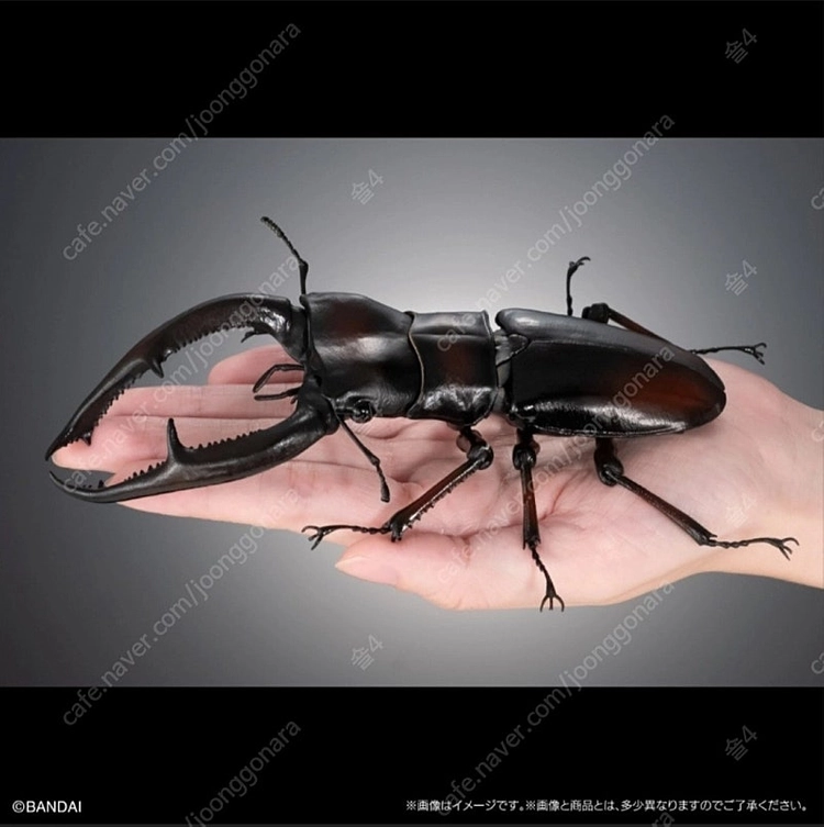 생물대도감 어드밴스 사슴벌레 1탄 기라파톱사슴벌레와 만디블라리스큰턱사슴벌레 (가챠) 이미지
