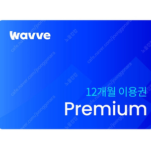 웨이브 Wavve 프리미엄 12개월 이용권