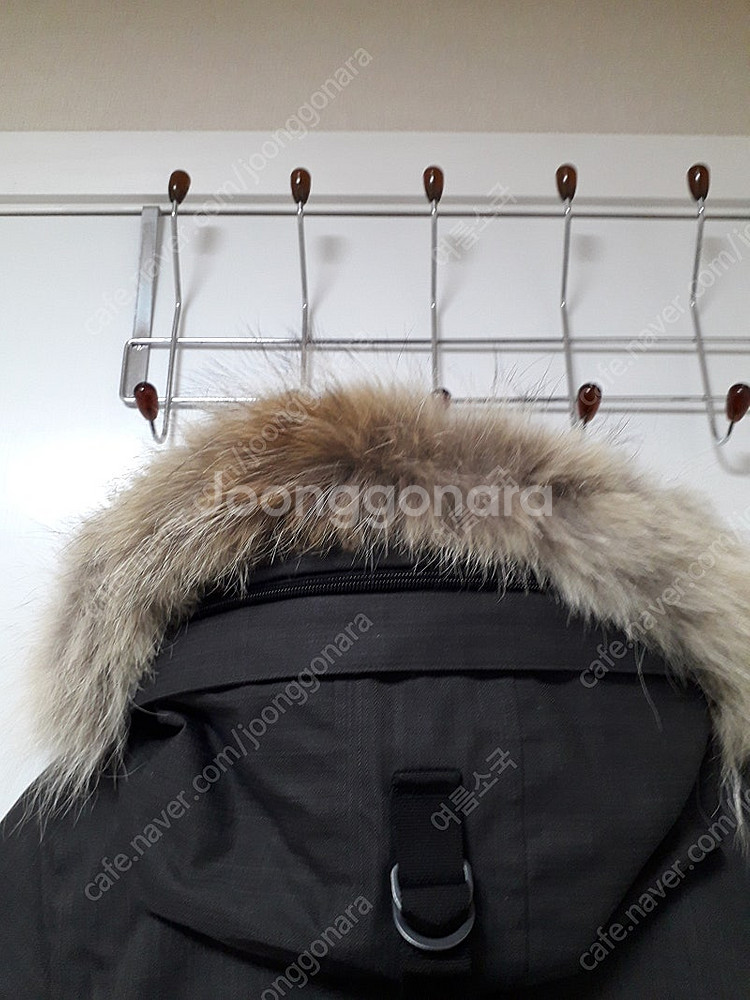 노비스 메리데스 그레이 패딩 S/P--5