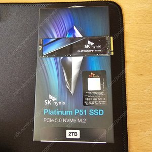 SK하이닉스 P51 M.2 NVMe 2TB