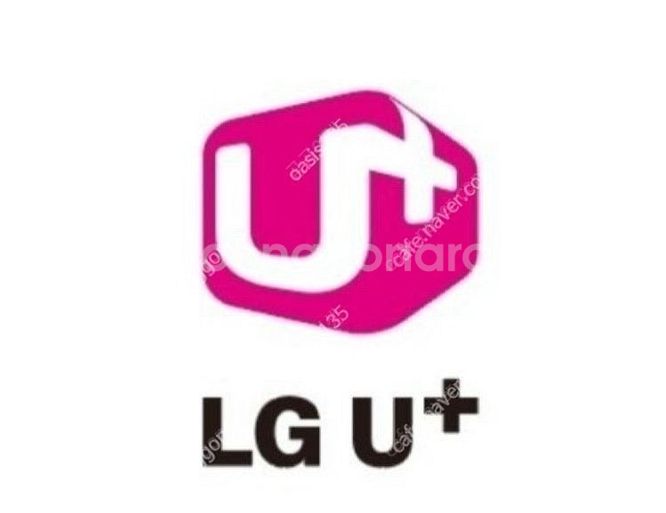lg데이터 2기가 팝니다--0