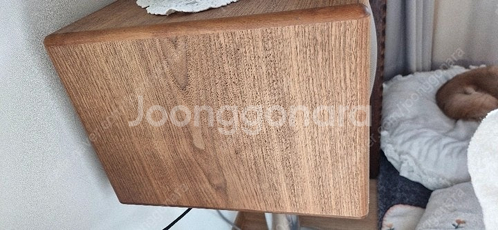 제네바 스피커L-스크래치 없음--1