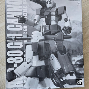 rgc-80 gm cannon mg 1/100 rgc-80