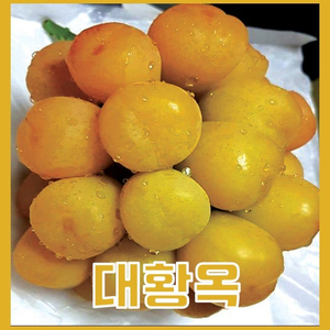 루비에스 사과 수퍼복분자 블랙베리 포도 7종 판매합니다.
