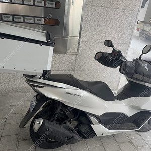 Pcx125 abs 23@@@ 22년식 판매합니다 배달세팅 끝