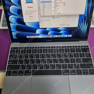 애플 맥북(Macbook) 12인치(A1534) Mid-2017 판매