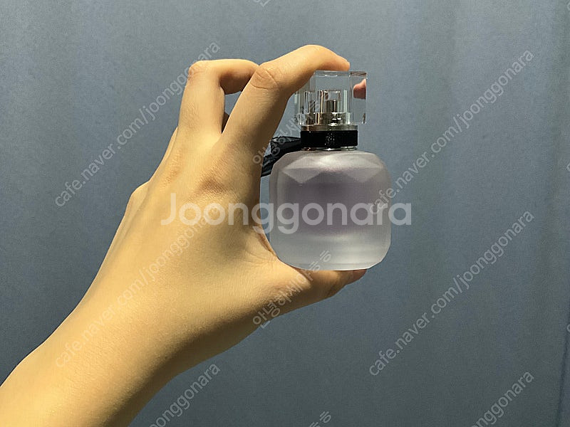 로저앤갈렛 진젬브르 루즈, 몽파리 헤어미스트,브리트니 ...--3