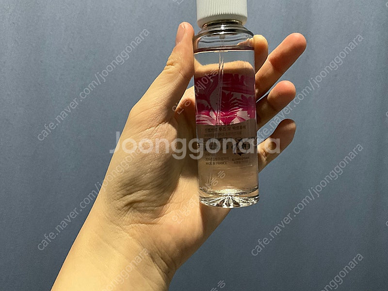 로저앤갈렛 진젬브르 루즈, 몽파리 헤어미스트,브리트니 ...--6