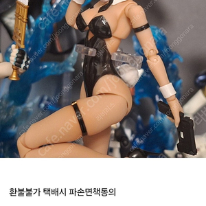 스네일쉘 바니걸 아이린 블랙 wf 한정