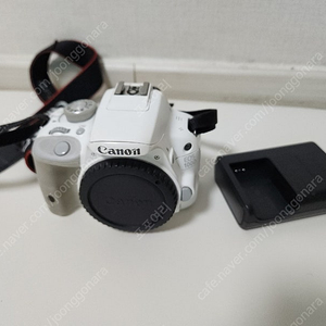 캐논 EOS 100D 중고 바디 싸게 판매합니다.