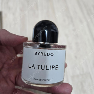 바이레도 라튤립 50ml 80%