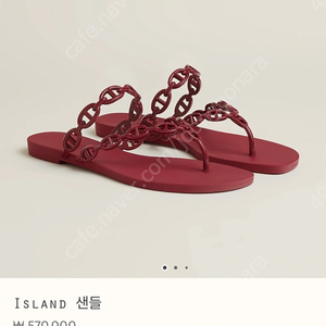 에르메스 아일랜드 루즈아쉬 37