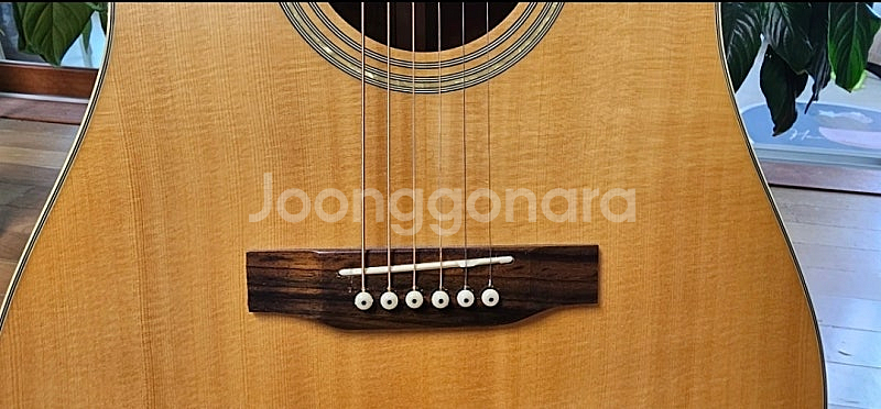 오봉 기타 크라운 수제 통기타--6
