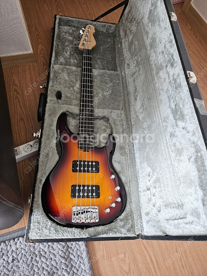ESP E II AP5 5현 베이스--1