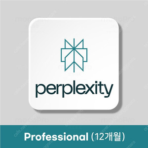 Perplexity AI Pro (퍼플렉시티) 1년 구독권