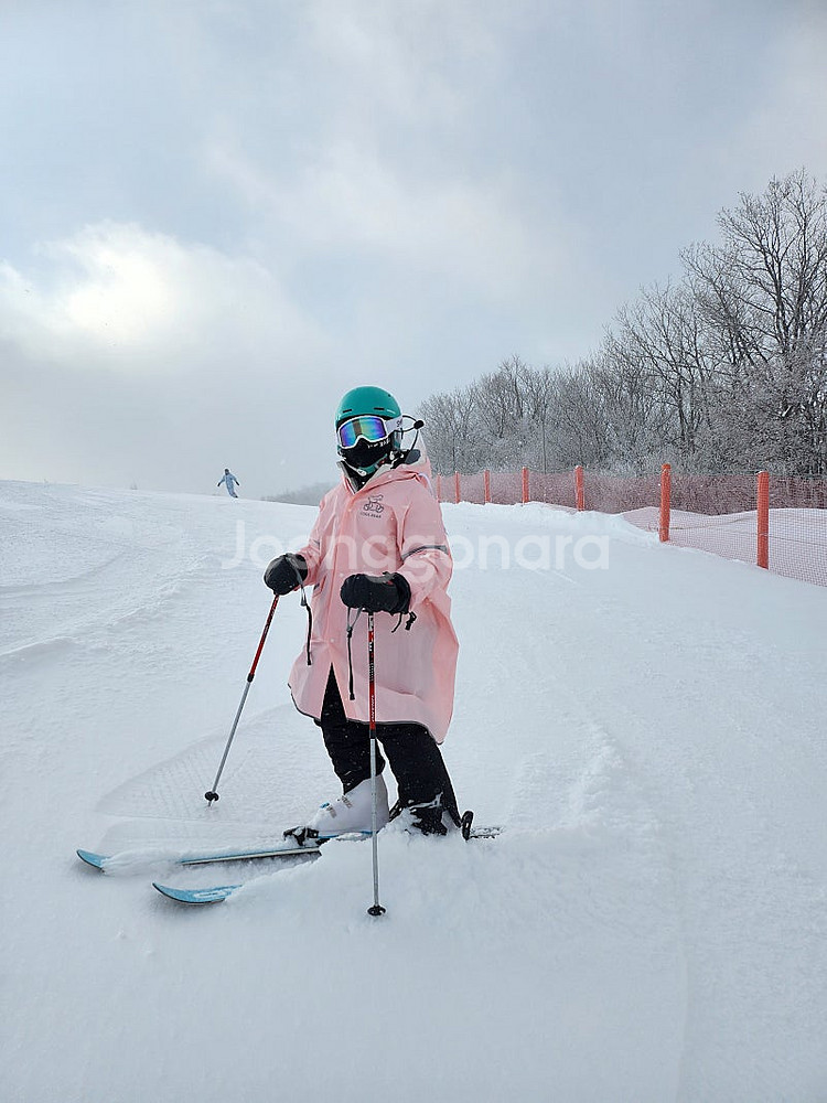 하이원 스키/스노우보드 강습(주니어 기술등급 가능) 유아강습.초급.중급.상급강습.레벨준비반--0