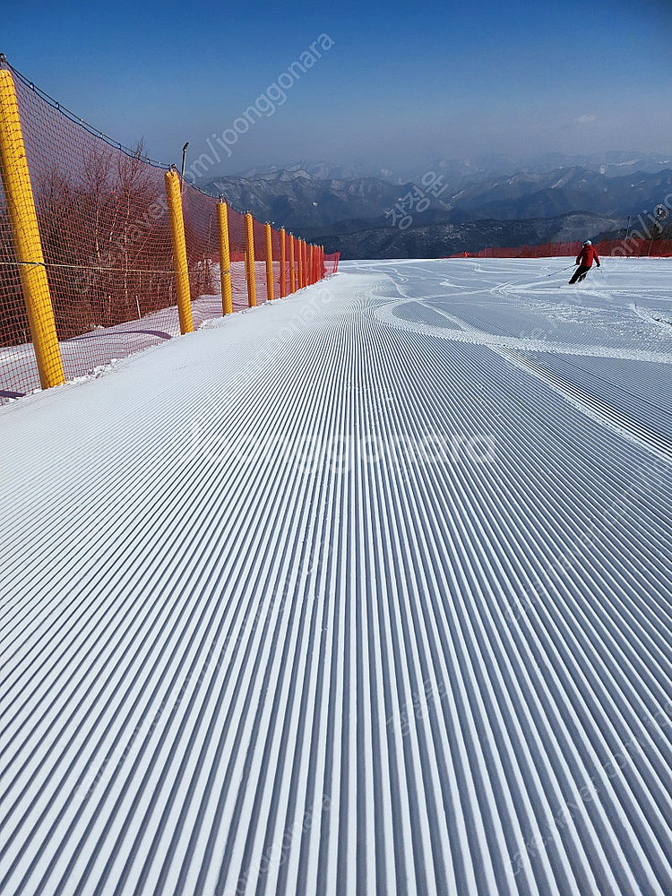 하이원 스키/스노우보드 강습(주니어 기술등급 가능) 유아강습.초급.중급.상급강습.레벨준비반--5