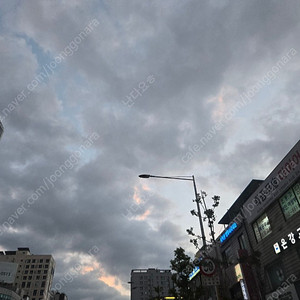 에버랜드 종일권 2장 판매 3월21일까지