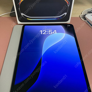 아이패드 프로 m4 13 7세대 256기가 스블 와이