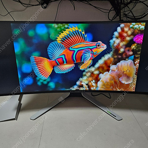 Dell AW3821DW 판매