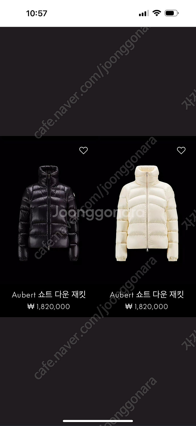 (정품)몽클레어 몽클레르 오베르 오베르트 aubert ...--3