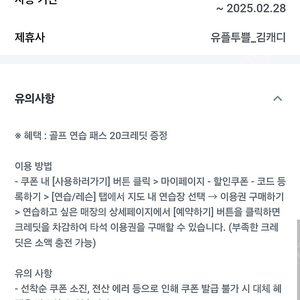 김캐디 골프 연습 패스 20크레딧