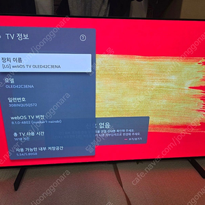 LG OLED 42C3ENA 4K 120HZ TV 모니터 판매합니다 (대구)