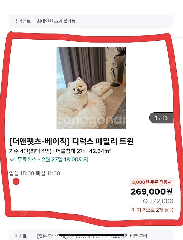 3/1~2 양양 더앤리조트 애견동반 패밀리룸--0