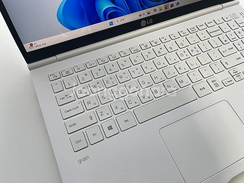 LG전자 그램15 15Z995-VP50ML 램 16GB--1