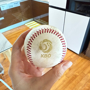 kbo 빅라인 13년도 공인구