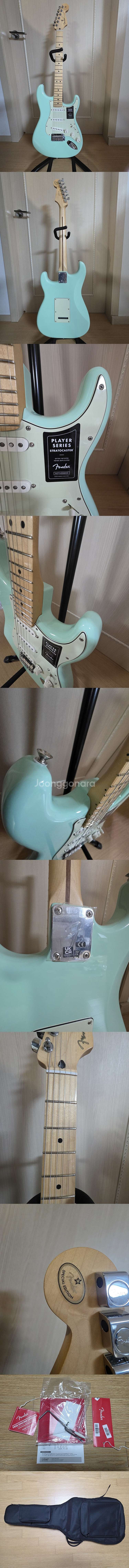 펜더 플레이어 리미티디 스트라토캐스터 일렉기타 서프그린...--0