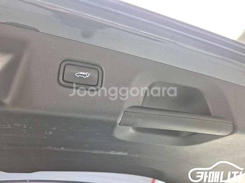 [현대]팰리세이드 디젤 2.2 2WD 프레스티지 (8인...--6