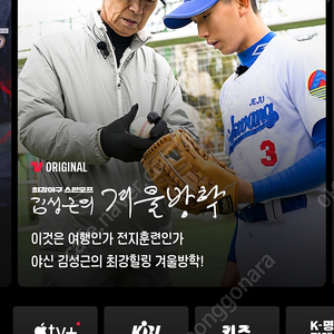 티빙 1년 함께 보실 분 구합니다.