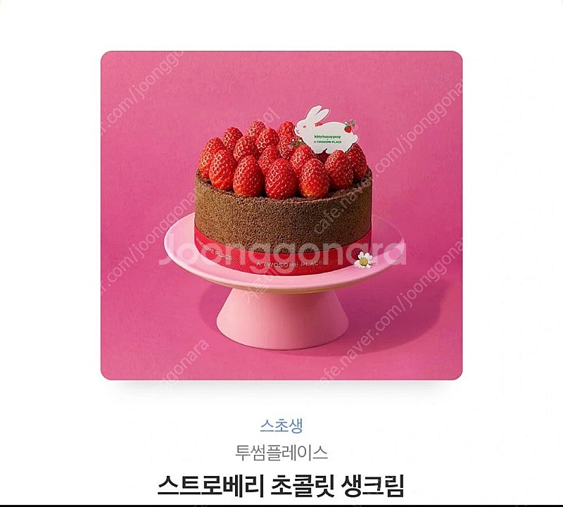 투썸플레이스--0