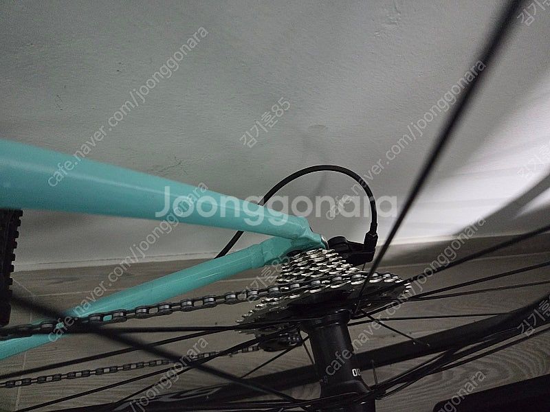 2023 비앙키니로네105 11단 팝니다~!!--5